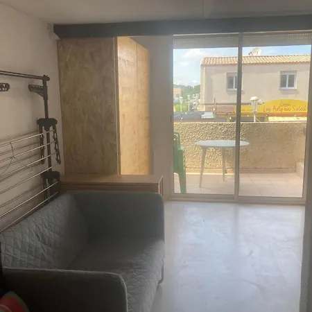 4 Couchages Le Mole 公寓 *